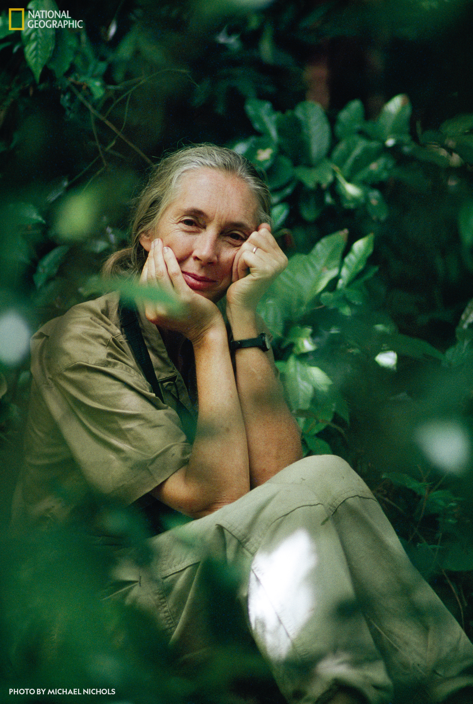 national geographic biography jane goodall