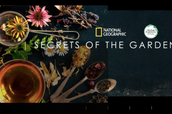 National Geographic and Herbal Essences Unearth the Power of Botanicals in New Storytelling Partnership that Launches with Premiere of Branded Content Special, Secrets of the Garden