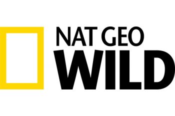 Nat Geo WILD Announces New Series HOWIE MANDEL’S ANIMALS DOING THINGS