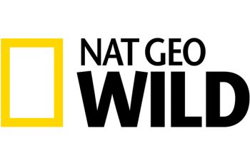 Nat Geo Wild Taps Emmy Award-Winning Mark Steines As Host Of Animal Er Live, A New Live Event Series From Big Fish Entertainment