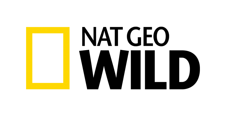Nat Geo Wild Taps Emmy Award-Winning Mark Steines As Host Of Animal Er Live, A New Live Event Series From Big Fish Entertainment