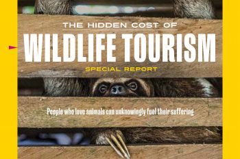 National Geographic Unveils Exclusive, Investigative Report On The Dark Side Of Wildlife Tourism