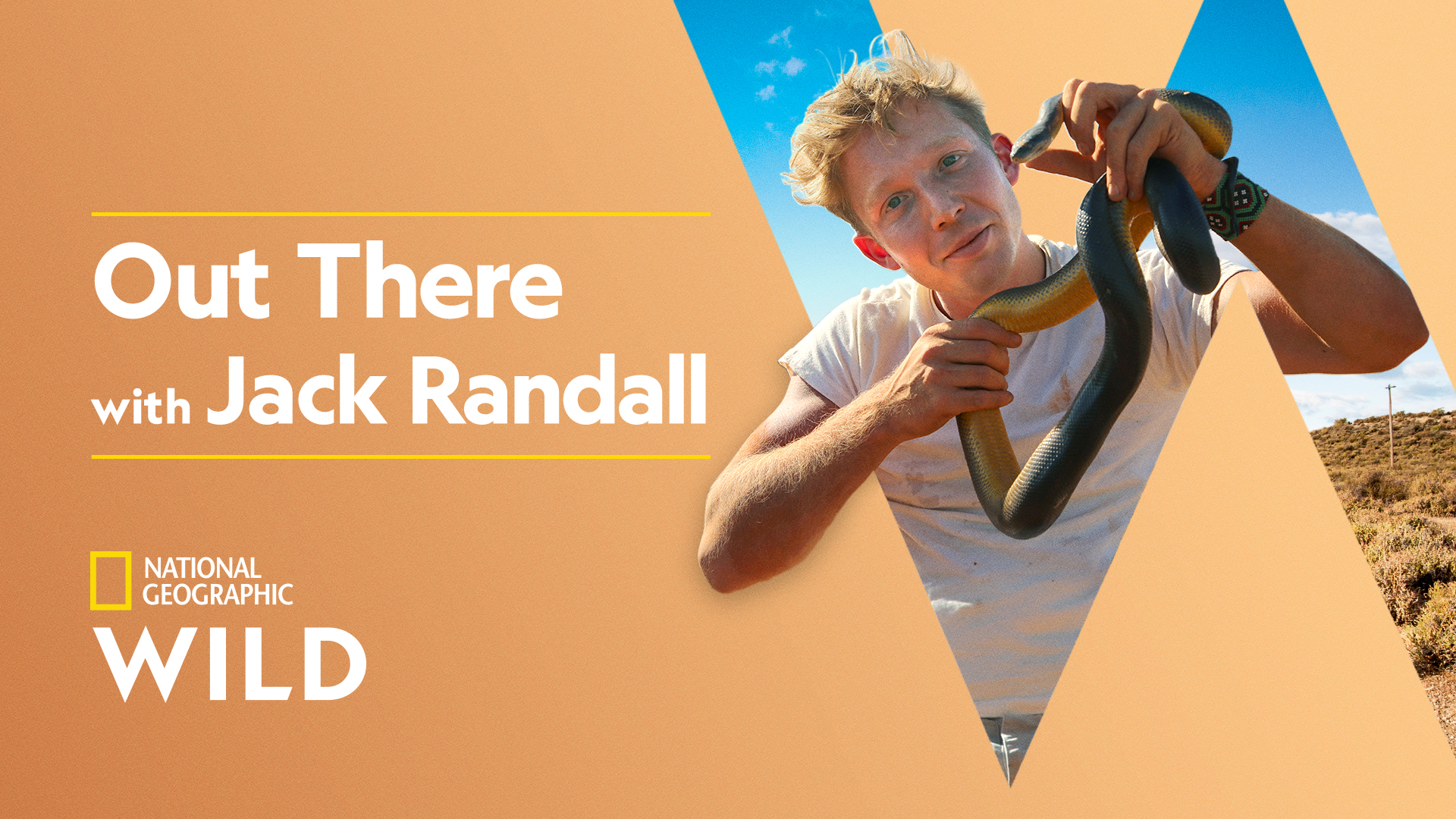 Zoologist And Former Steve Irwin Apprentice Treks Deep Into The Outback To Meet The World’s Deadliest And Most Exotic Animals In Out There With Jack Randall