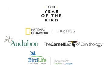 National Geographic Announces 2018 Year of the Bird Campaign, a Year-Long Effort Dedicated to Celebrating and Protecting Birds