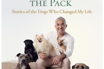 LESSONS FROM THE PACK: Stories of the Dogs Who Changed My Life by Cesar Millan