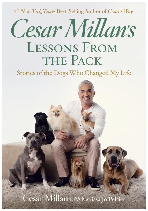Picture of Cesar Millan book cover