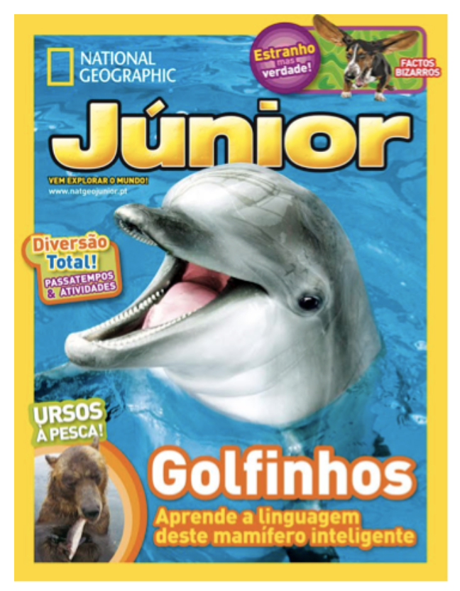 Picture of Junior cover