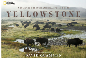 New Book Celebrates Yellowstone and National Parks Centennial