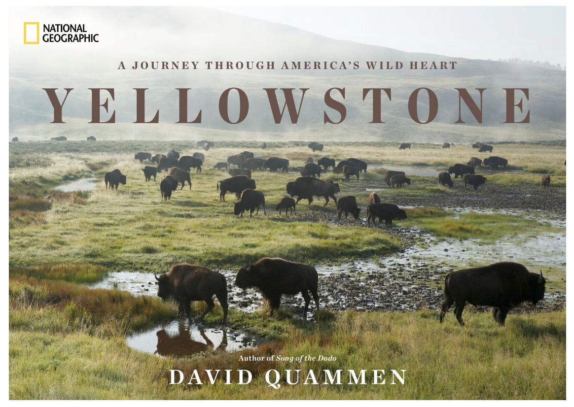 Picture of Yellowstone book cover