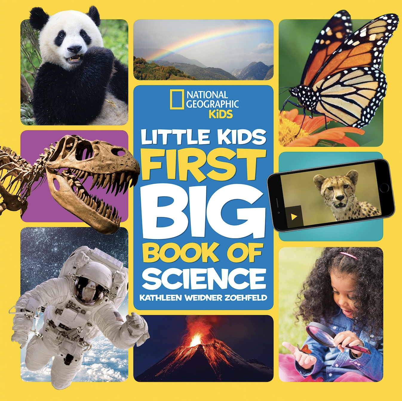 Photo of “Little Kids First Big Book” 