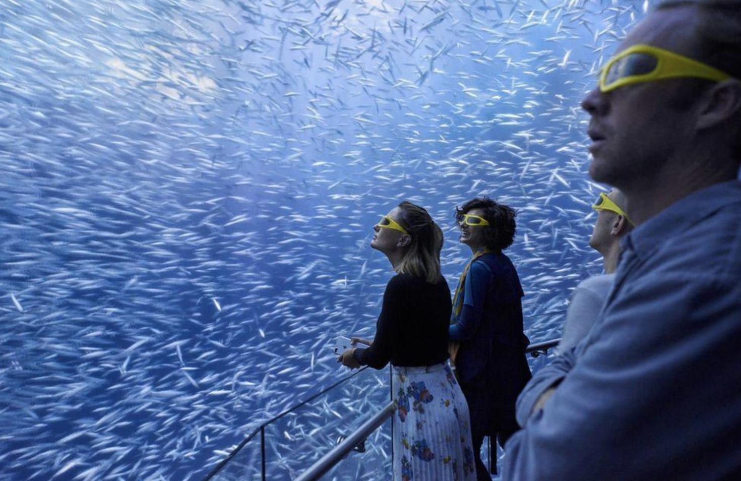 photo of National Geographic Encounter: Ocean Odyssey