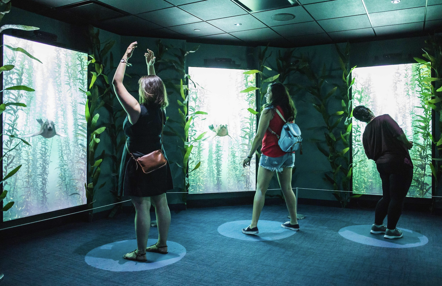 photo of National Geographic Encounter: Ocean Odyssey