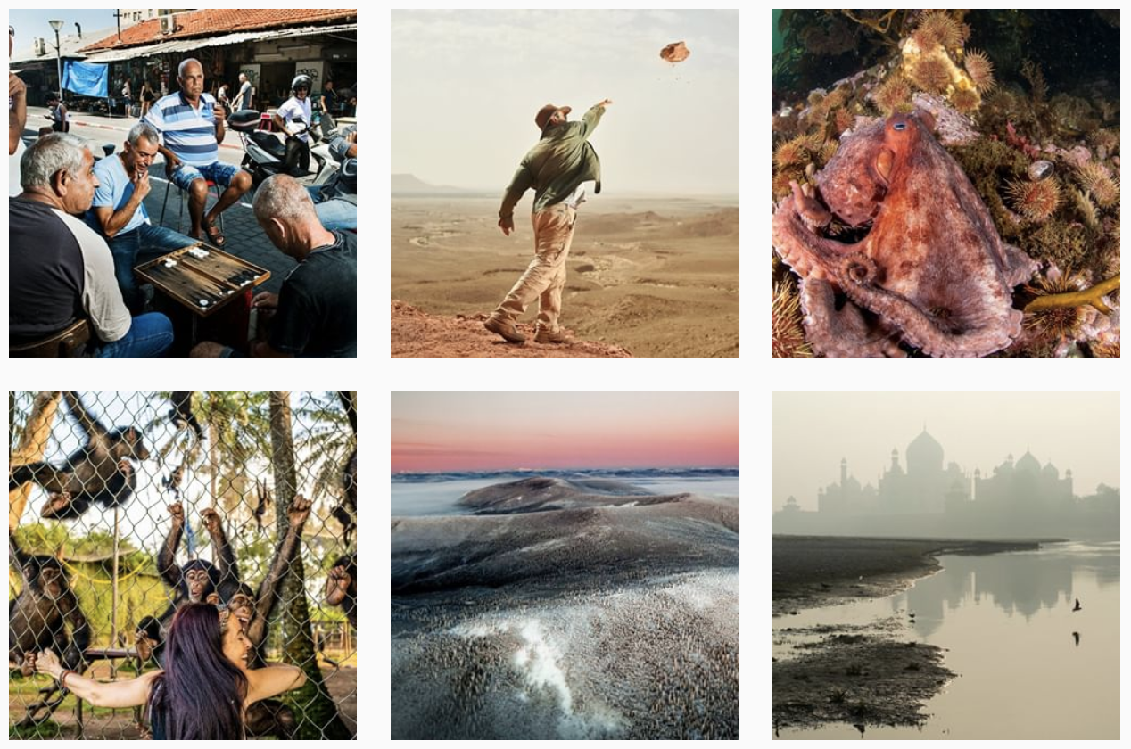 National Geographic hit 100M Instagram followers. Now it wants your images  for free. - Vox