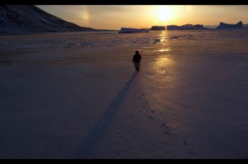 National Geographic Documentary Films Announces The Last Ice From National Geographic Pristine Seas
