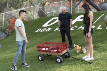 The Pack Is Back! Cesar Millan Returns Home to National Geographic in New Series ‘Cesar’s Way’ (wt)