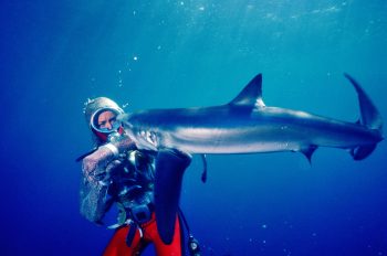 National Geographic Documentary Films Acquires Worldwide Rights for Underwater Exploration Feature ‘Playing With Sharks’ Out of Sundance